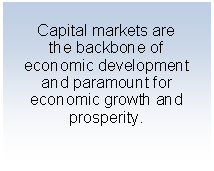 Textfeld: Capital markets are the backbone of economic developmentand paramount for economic growth and prosperity.